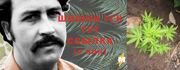 тгк Абаза