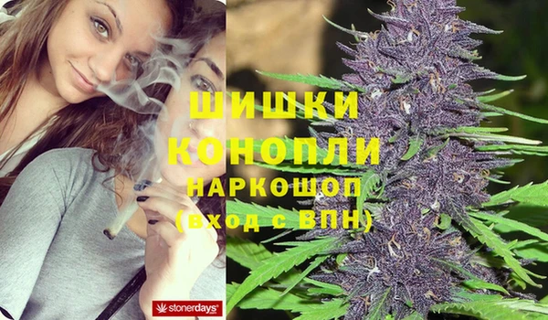 прущие грибы Алзамай