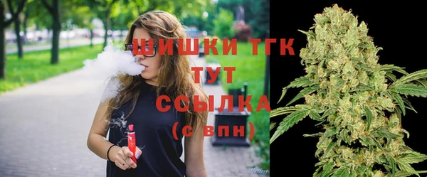прущие грибы Алзамай