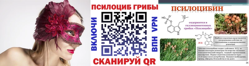маркетплейс какой сайт  Починок  Галлюциногенные грибы Cubensis 